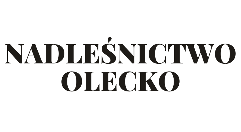 Geodeta Olecko